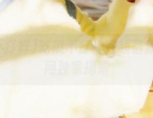 吃瓜不打烊在线最新黑料全网独家揭露