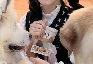 不可错过的明星黑料，少女热推收藏神器！