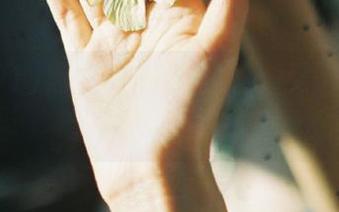 黑料91网址推荐：尽览全网最新最火吃瓜黑料