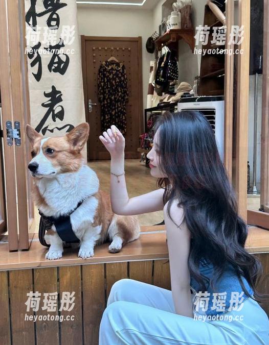 黑料不打样视频精彩放送，网页频道同步更新不停歇