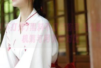 黑料不打烊首页怎么登录手机端与网页版对比