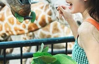 黑料不重样在哪里看？用了这些网址，黑料不重样全掌握