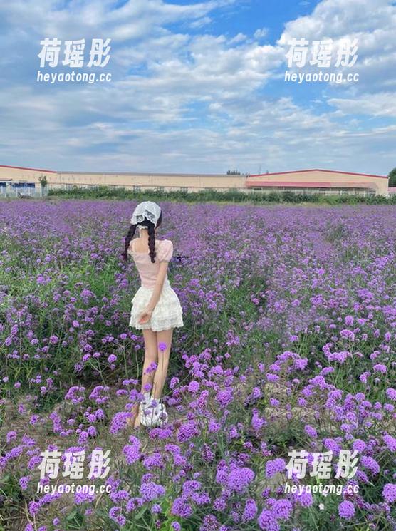 黑料社 黑料社在线网站强势上线,第一时间获取独家资源