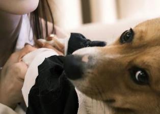 如何通过黑料网在线跳转直达吃瓜内容